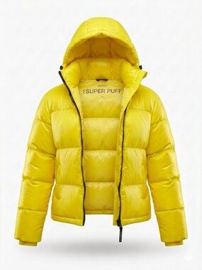 Aritzia Short Super Puff